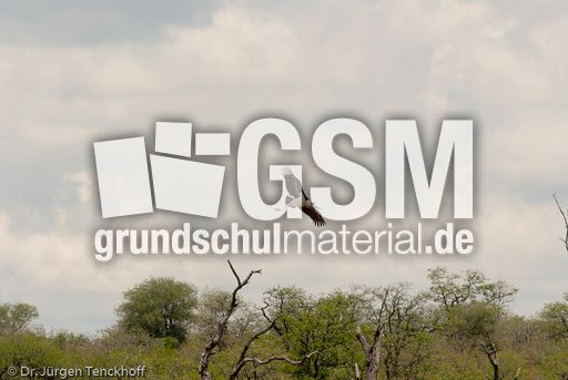 Marabu (30 von 33).jpg